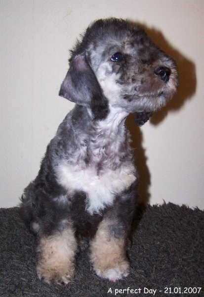 38-ARC-EN-CIEL A NICE DAY - GINZA 21012007 (1).jpg